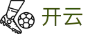 开云-官方平台-kaiyun官方全站门户